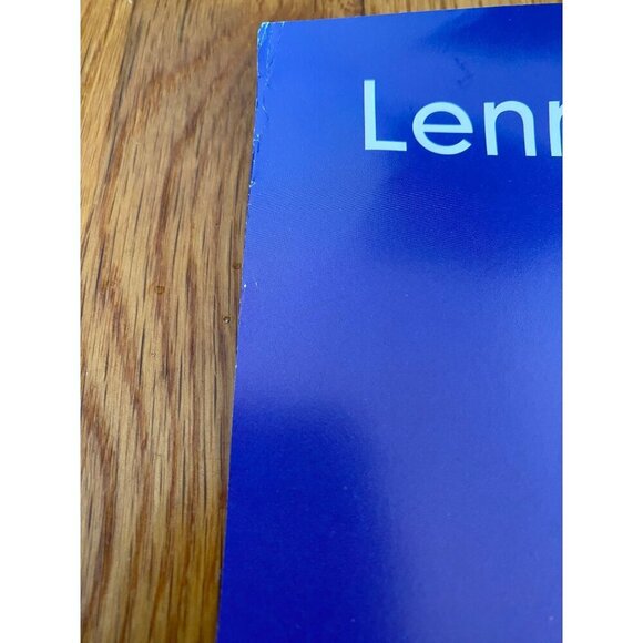 Lenny Kravitz "Are You Gonna Go My Way, Lenny On Fire" 1993 Promo Poster 18x24, - Picture 7 of 7